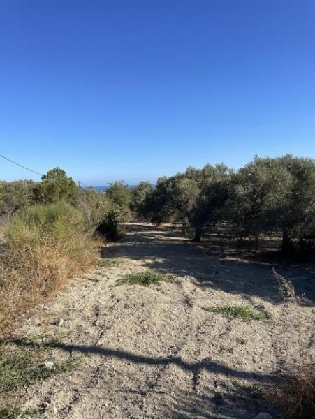 Episkopi bei Chania Kreta, Episkopi: Grundstück mit Meerblick, nahe dem Strand zu verkaufen Grundstück kaufen